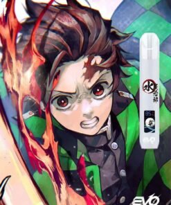 evo主機白色
