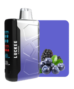 IC40000 MIX BERRY